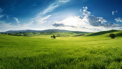 Rolling Green Hills Under A Bright Sunny Sky