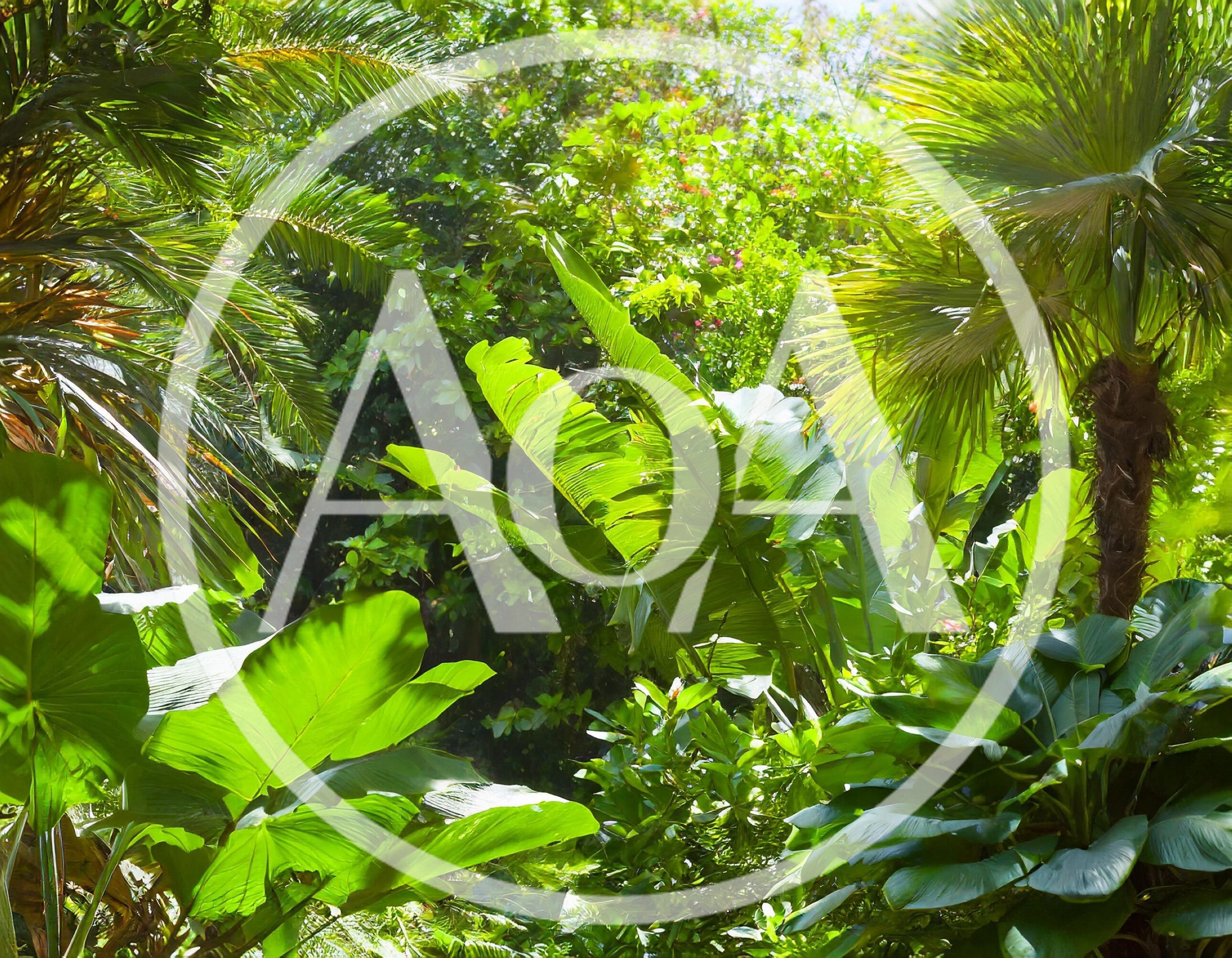 Lush Tropical Jungle Foliage With Palm Trees
