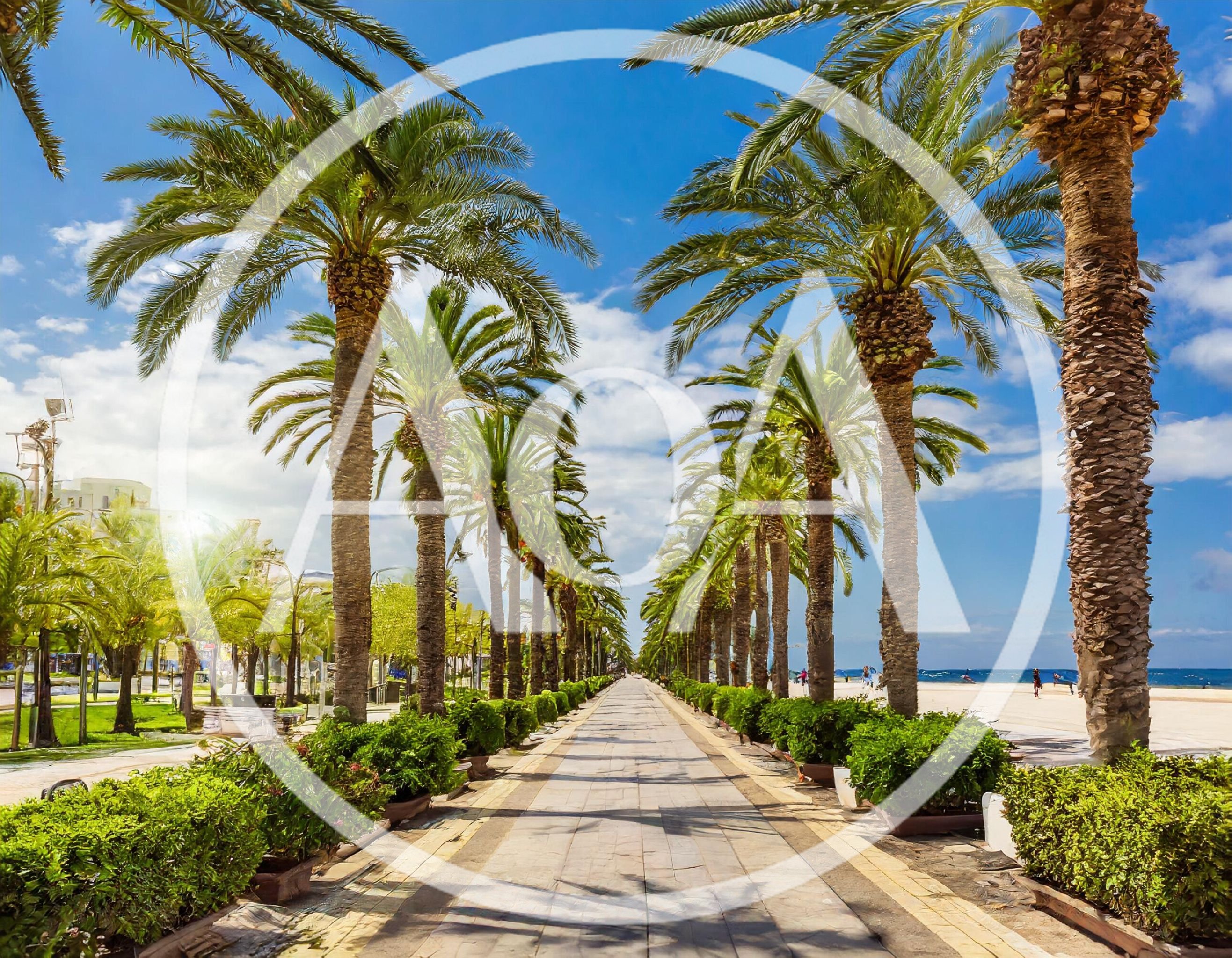 Palm Tree Lined Promenade Along A Sunny Beach