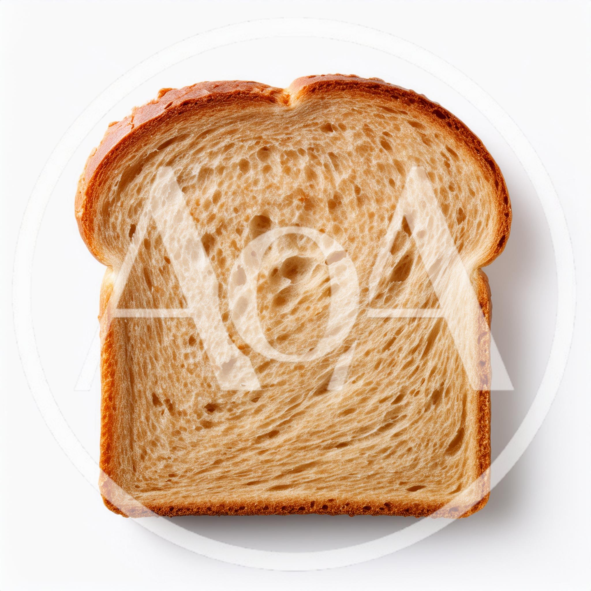 Single Slice Of Toasted White Bread