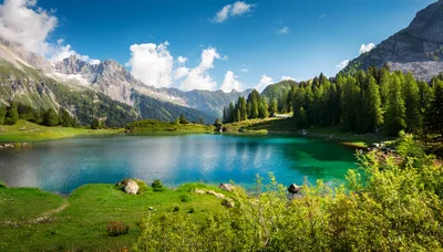 Alpine Lake Landscape With Mountains And Pine Forest