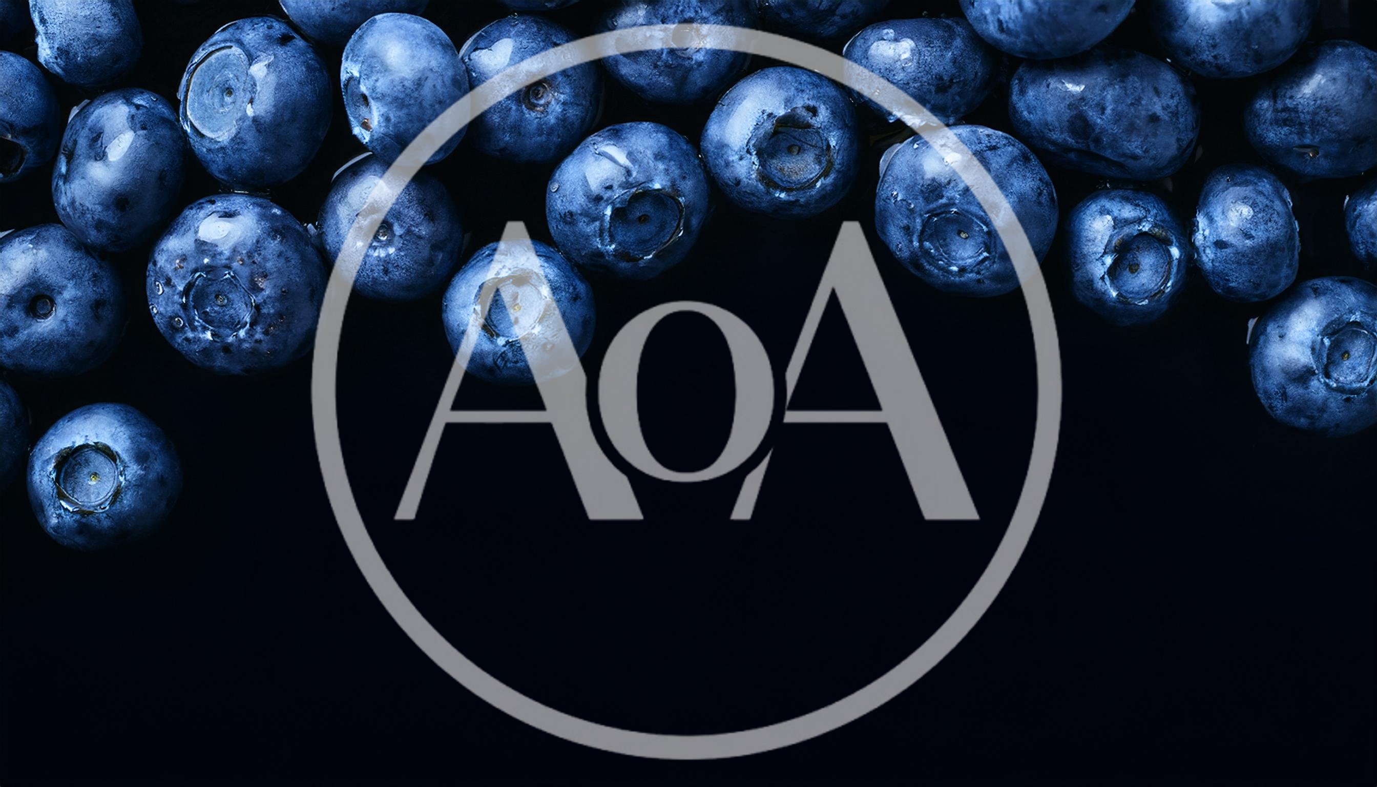 Fresh Blueberries Arranged Along Top Border on Black Background