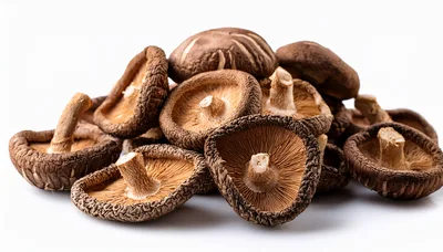 Pile Of Dried Shiitake Mushrooms On White Background
