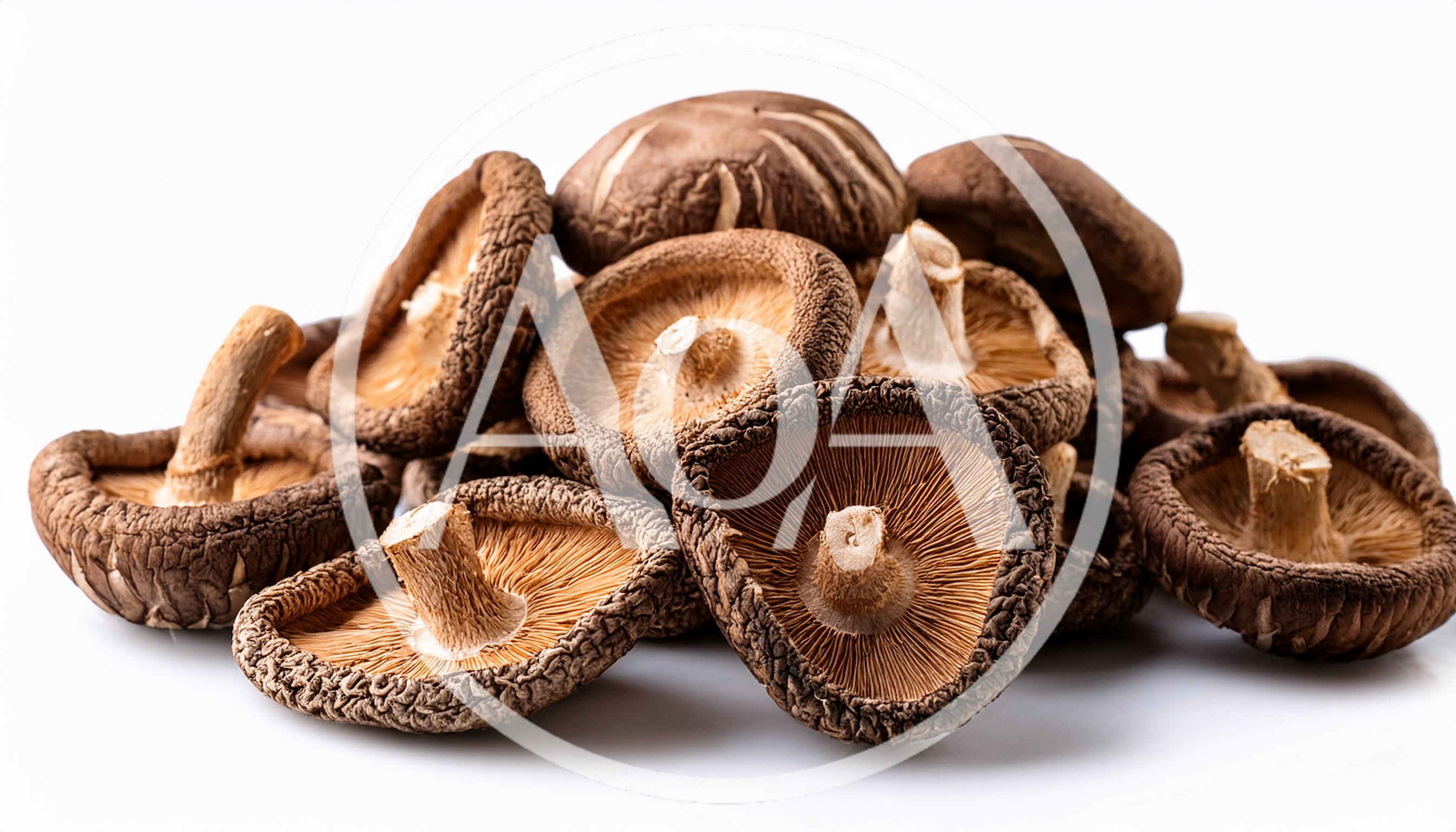 Pile Of Dried Shiitake Mushrooms On White Background