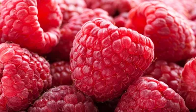 Fresh Ripe Raspberries Close Up Macro Shot