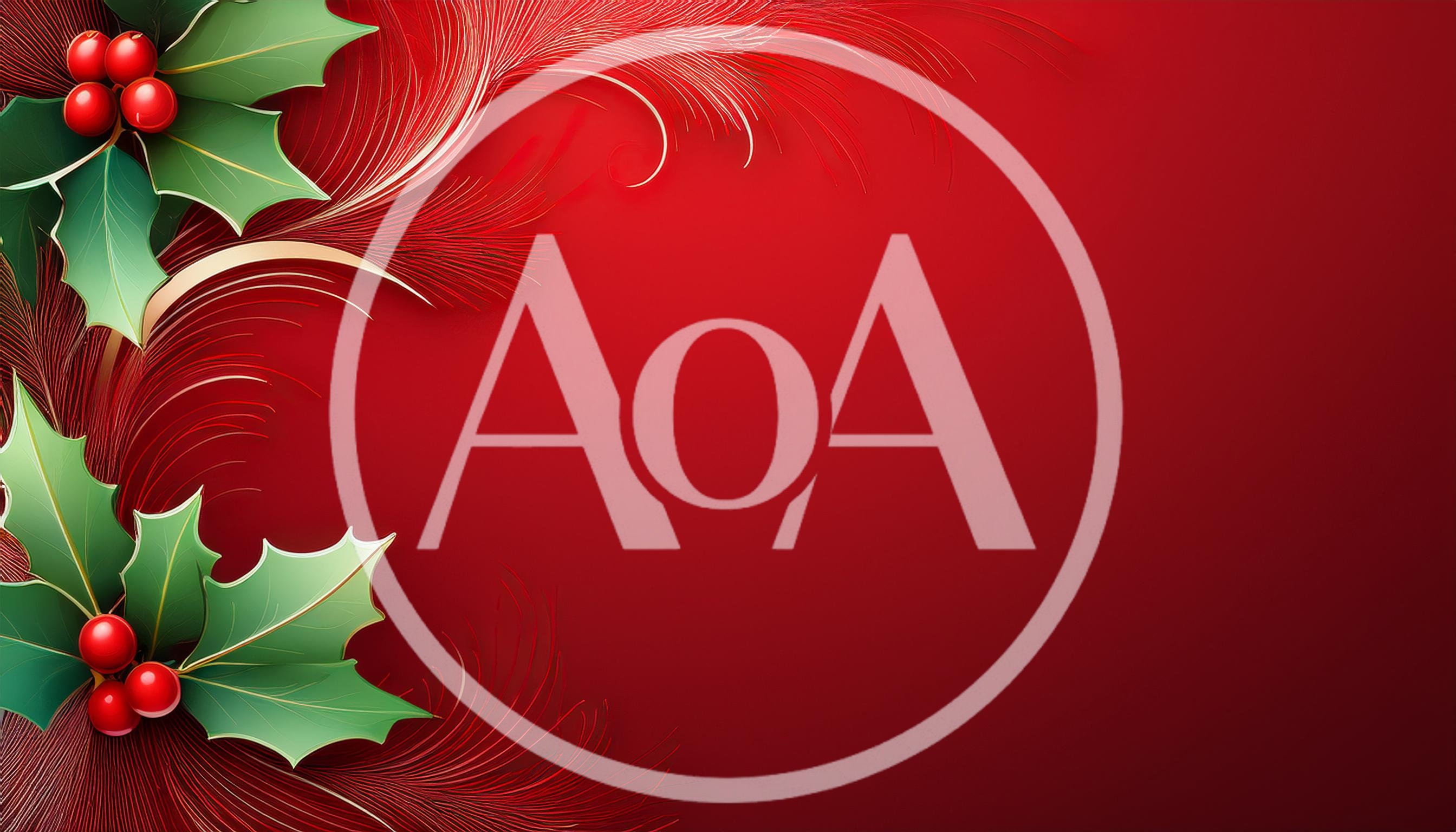 Christmas Holly Berries With Decorative Red Feathers