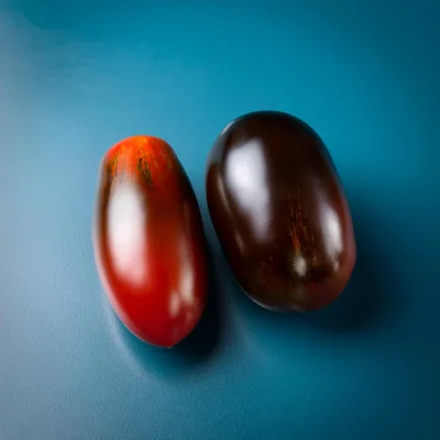Two Dark Striped Tomatoes on Blue Background