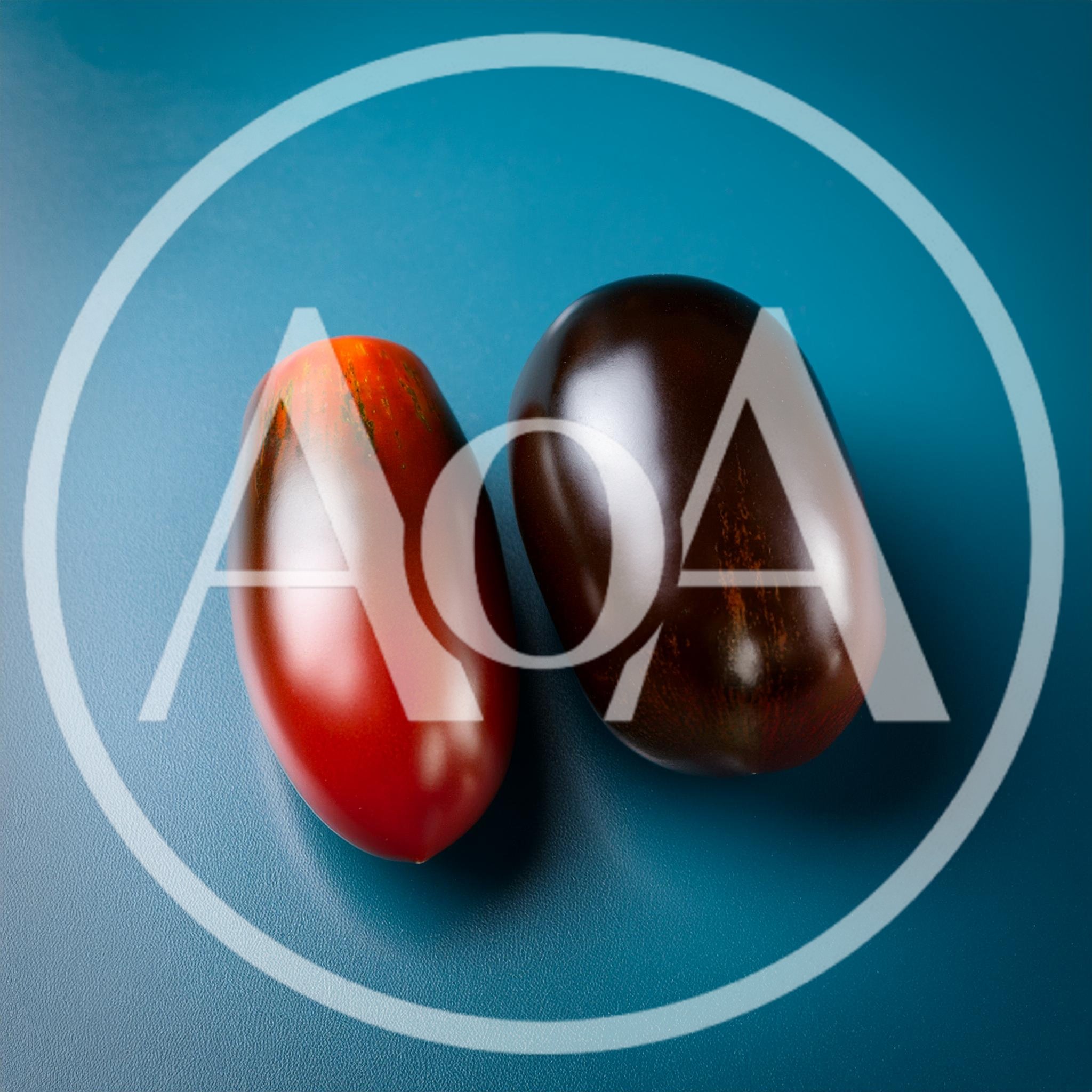 Two Dark Striped Tomatoes on Blue Background