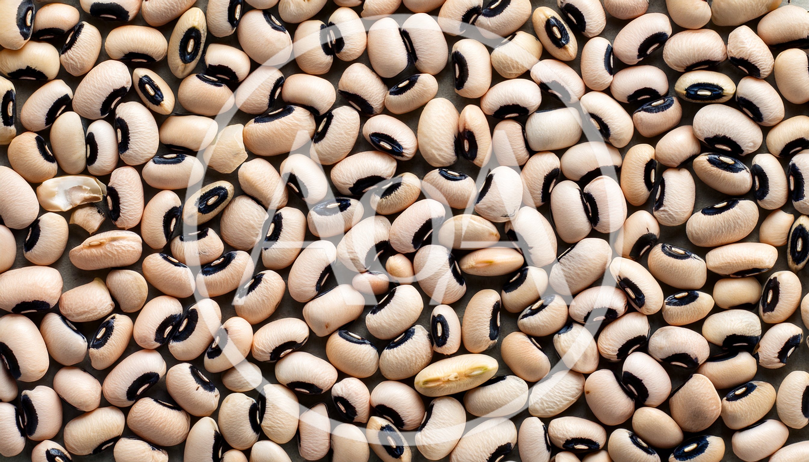 Top View Of Dried Black Eyed Peas