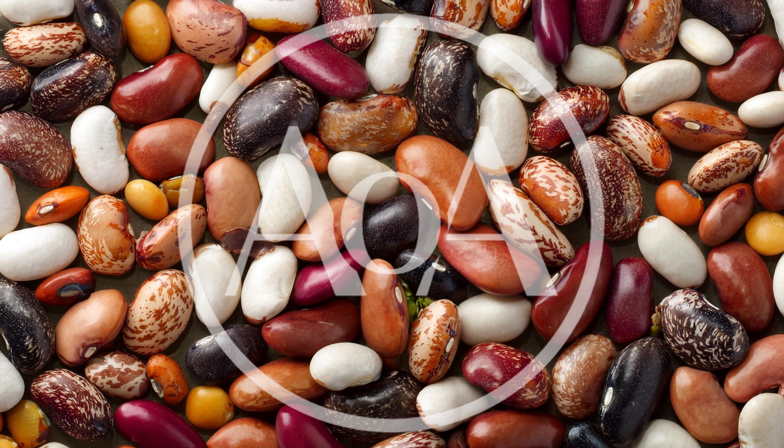 Assorted Dried Beans and Legumes Background