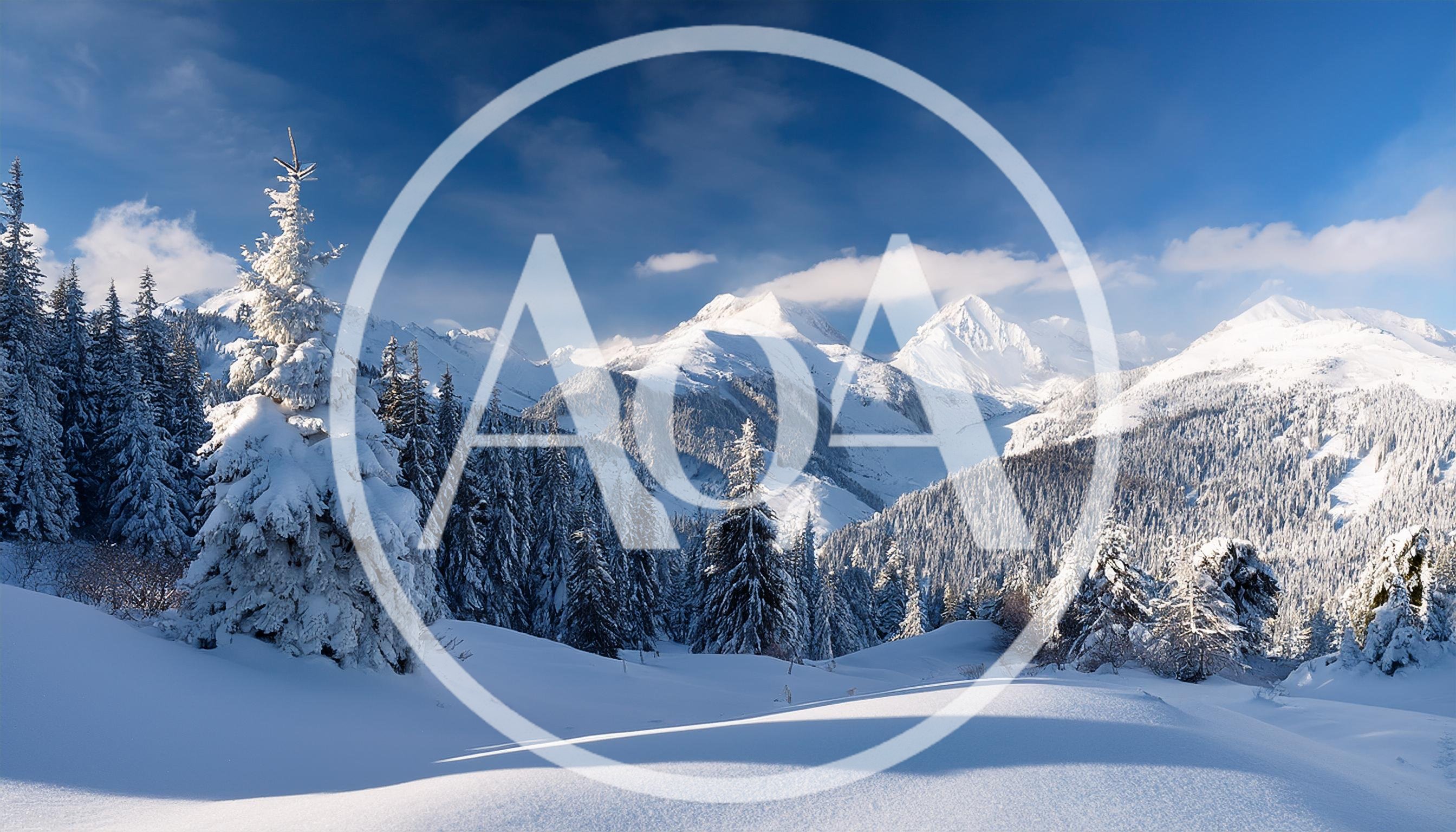 Snow Covered Pine Trees In A Mountain Landscape