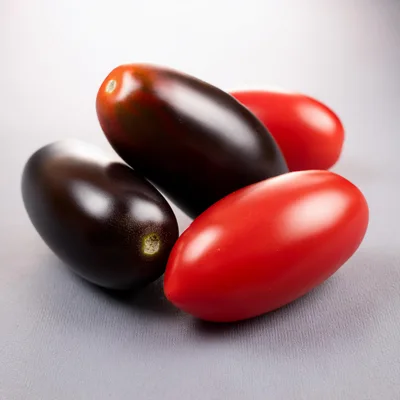Fresh Purple and Red Roma Tomatoes on Grey Background