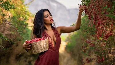 Beautiful Woman Harvesting Red Berries In A Sunny Orchard