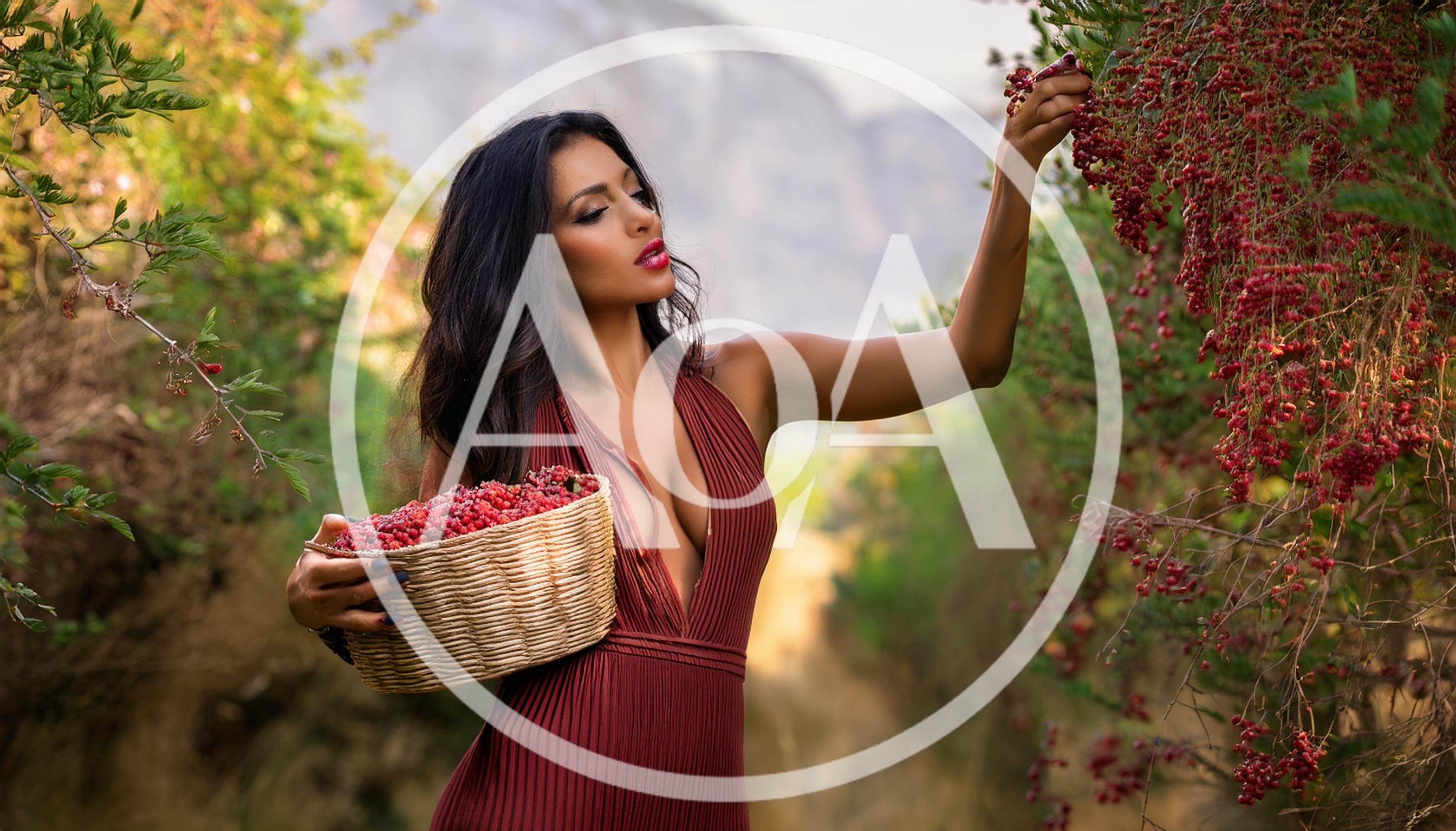 Beautiful Woman Harvesting Red Berries In A Sunny Orchard
