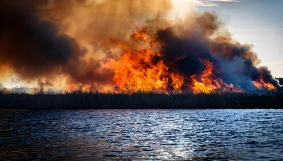 Intense Wildfire Burning Reeds Along A Riverbank