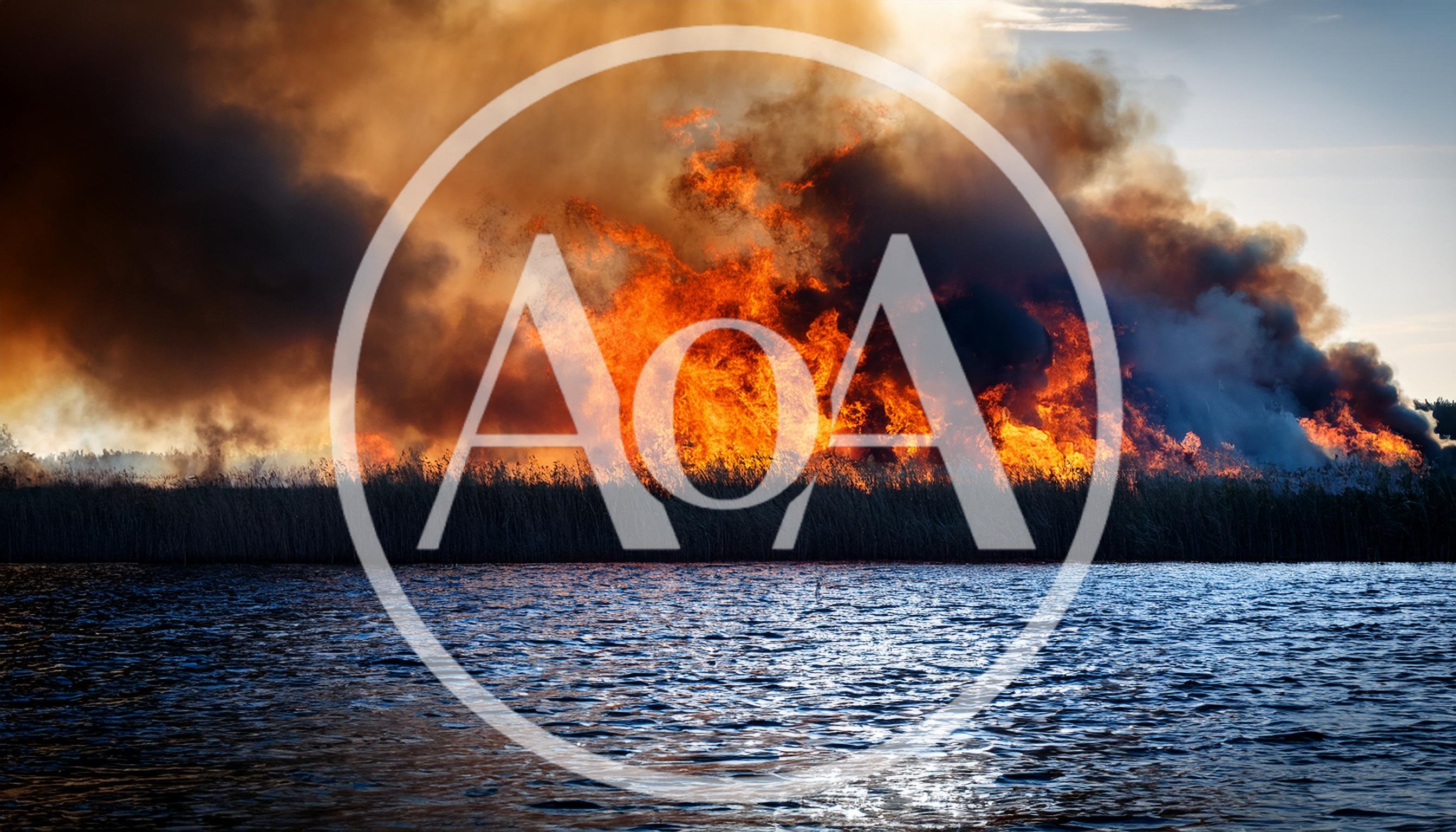 Intense Wildfire Burning Reeds Along A Riverbank