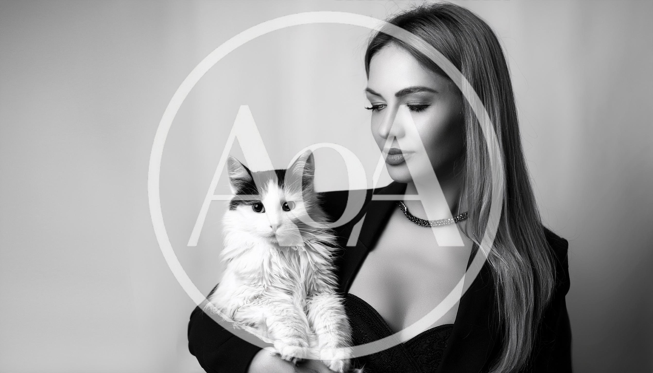 Elegant Woman Holding A Fluffy Cat In Studio