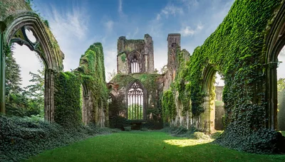 Ruins Of An Ancient Gothic Abbey Covered In Ivy