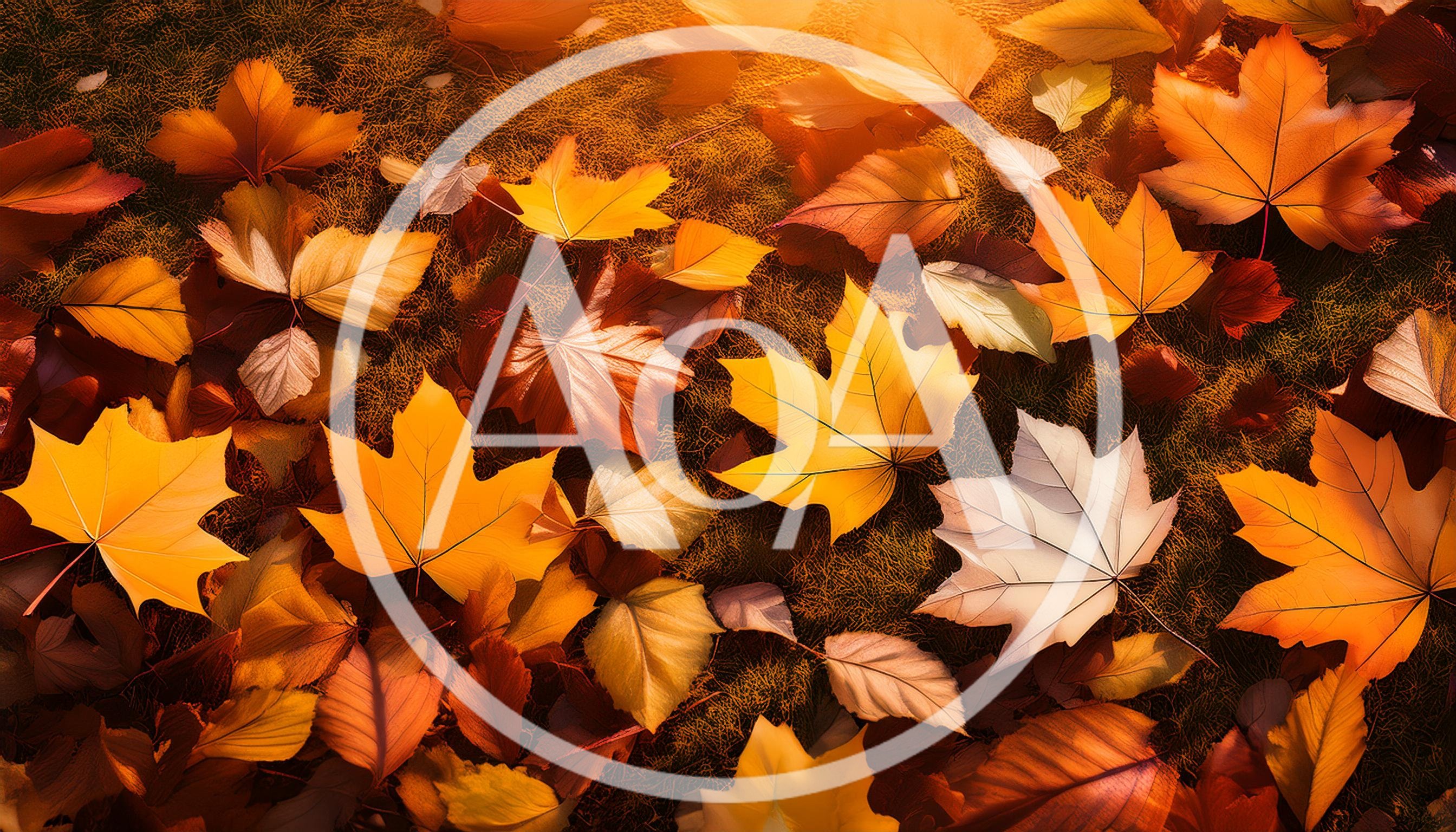Autumn Maple Leaves Scattered On Forest Floor