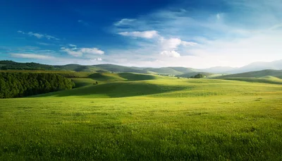 Rolling Green Hills Under A Bright Blue Sky