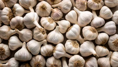 Top View Of Fresh Organic Garlic Bulbs