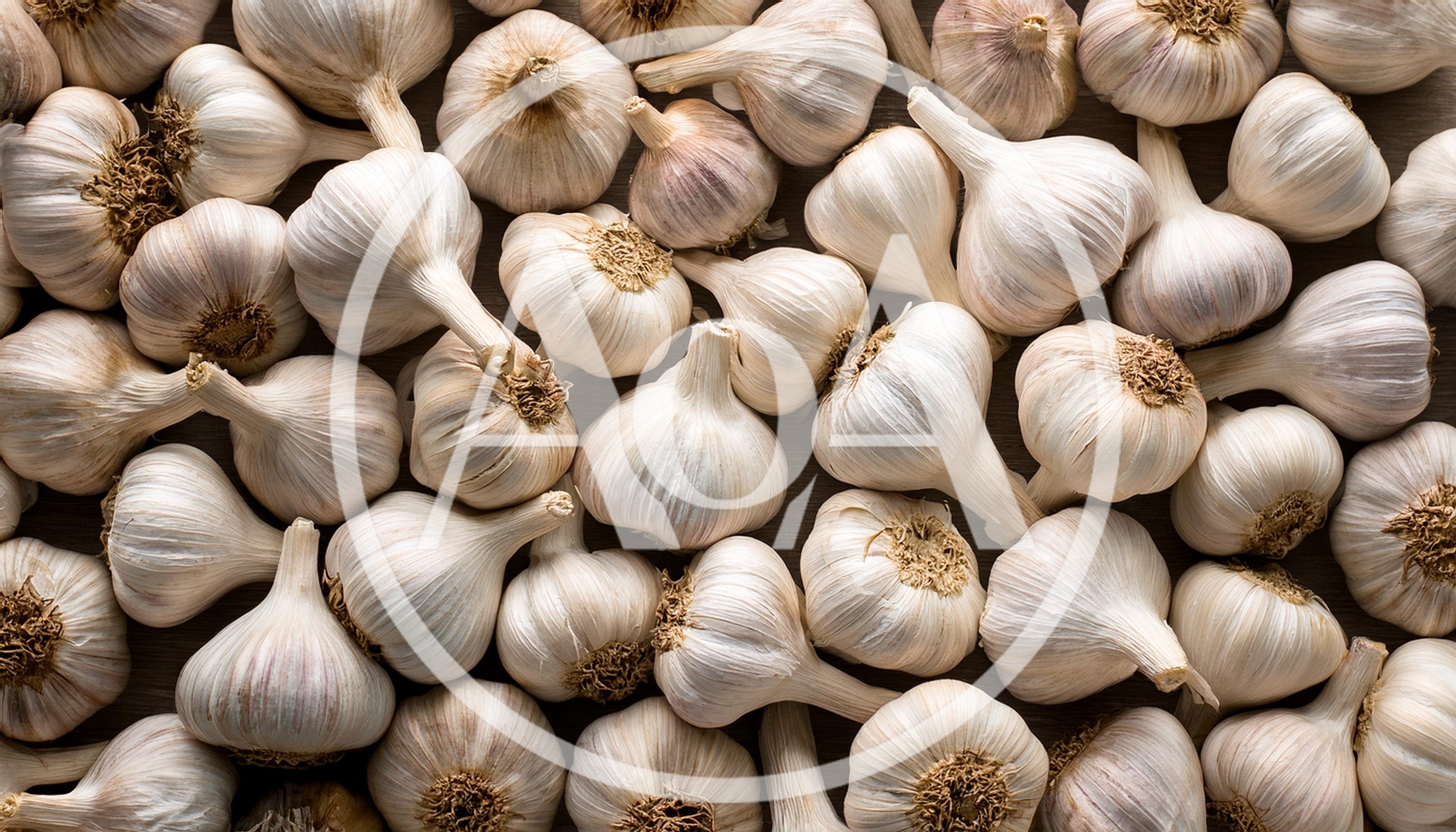 Top View Of Fresh Organic Garlic Bulbs