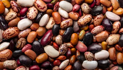 Assorted Dried Beans and Legumes Background