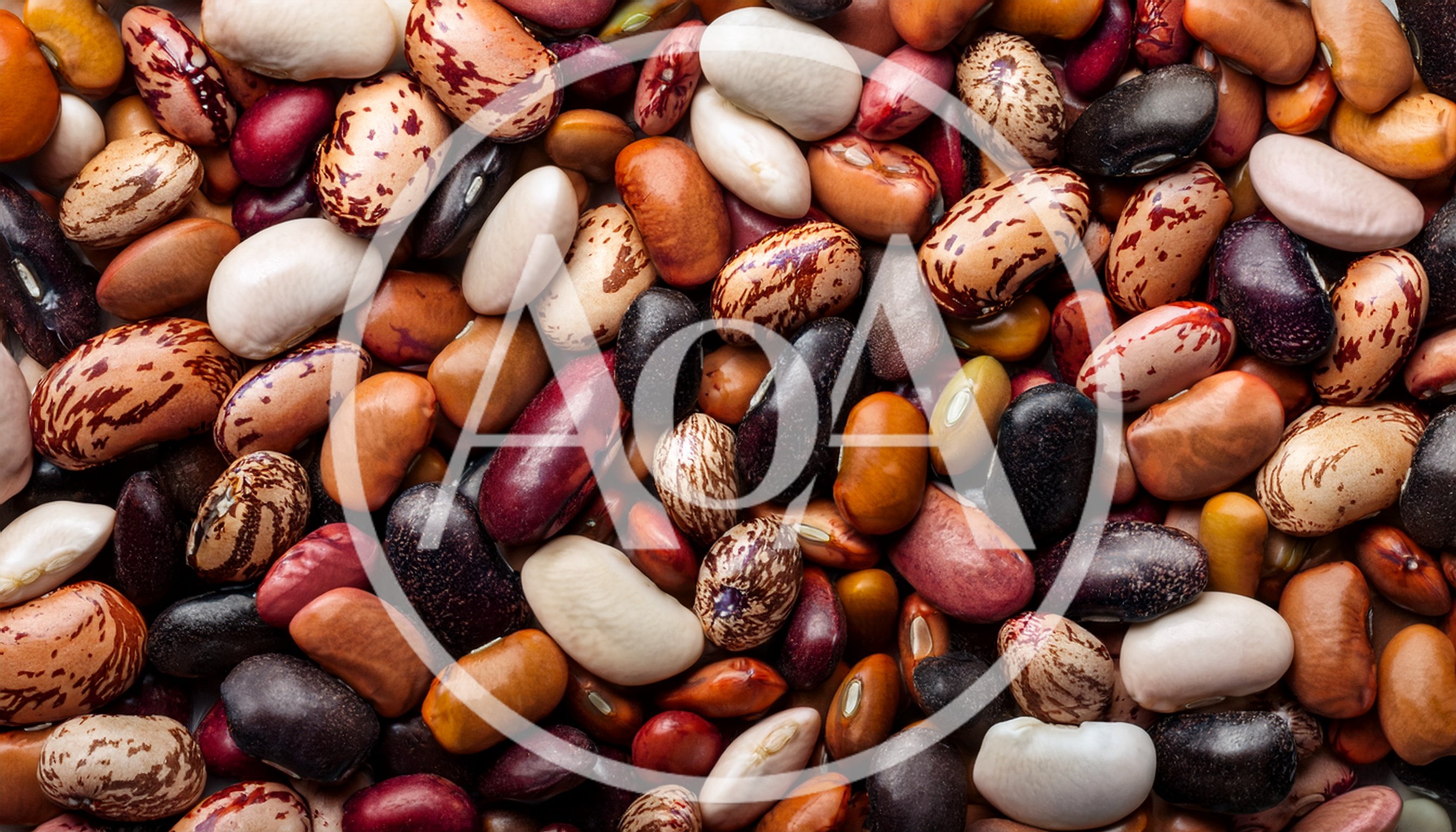 Assorted Dried Beans and Legumes Background