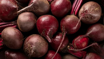Fresh Raw Beetroots With Green Stems