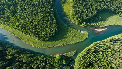 Aerial View Of A Meandering River Through Dense Forest