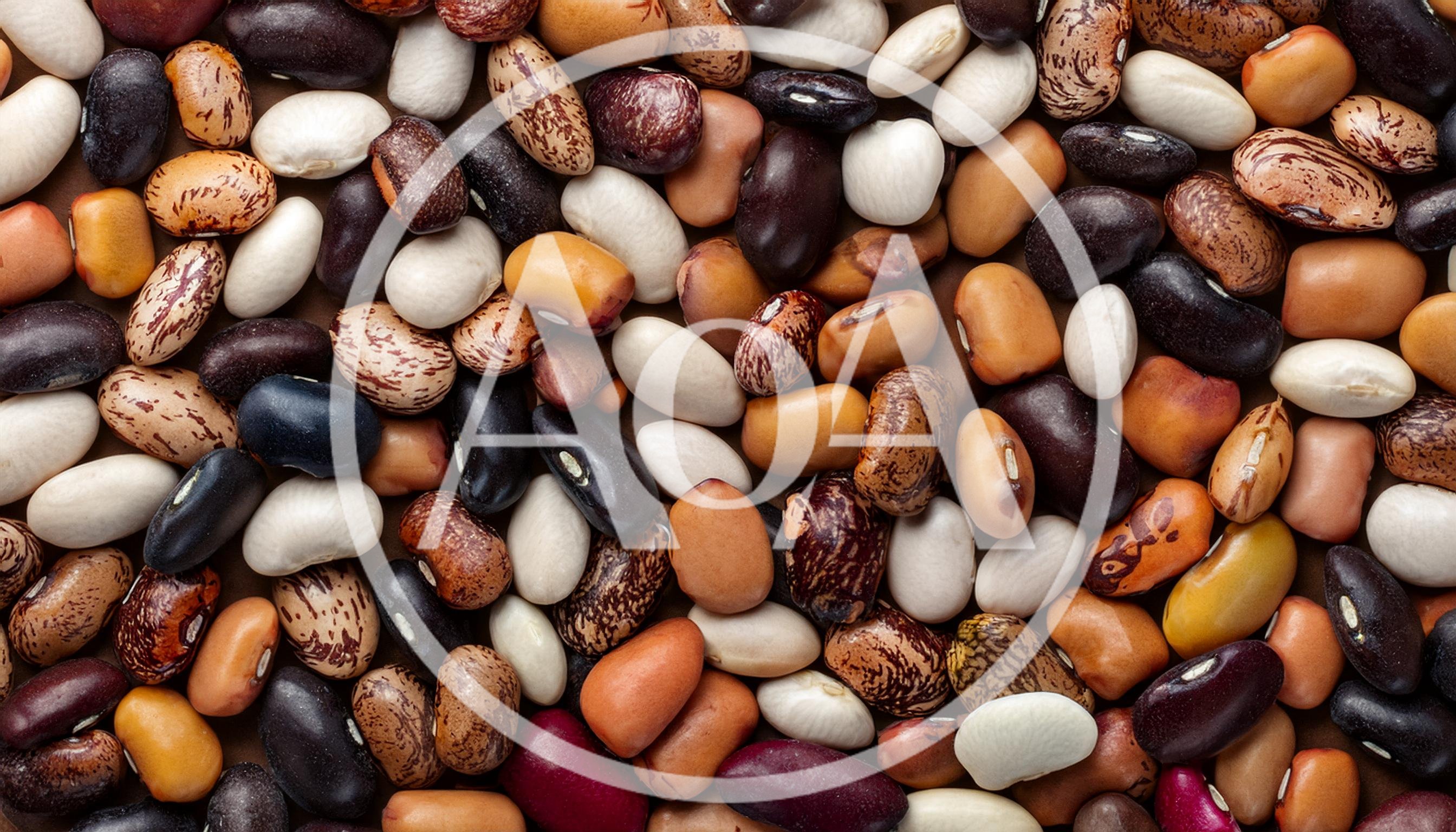 Assorted Dried Beans and Legumes Background
