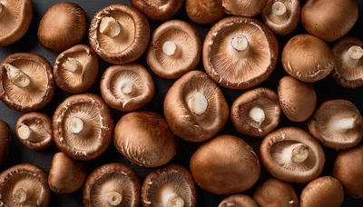 Fresh Shiitake Mushrooms Arranged On Dark Surface