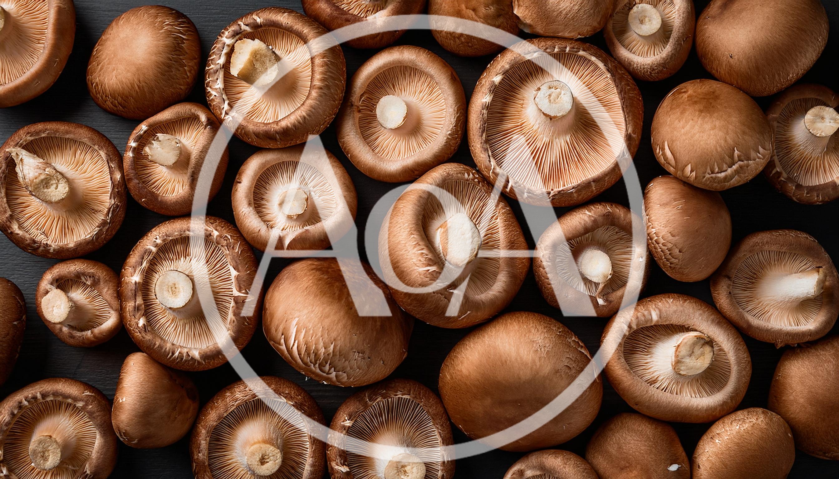 Fresh Shiitake Mushrooms Arranged On Dark Surface