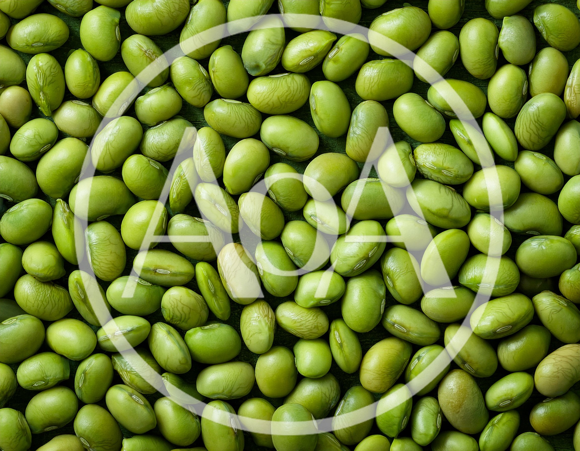 Top View Of Fresh Green Edamame Soybeans