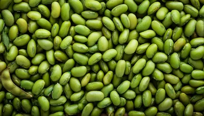 Fresh Green Edamame Soybeans In A Pile