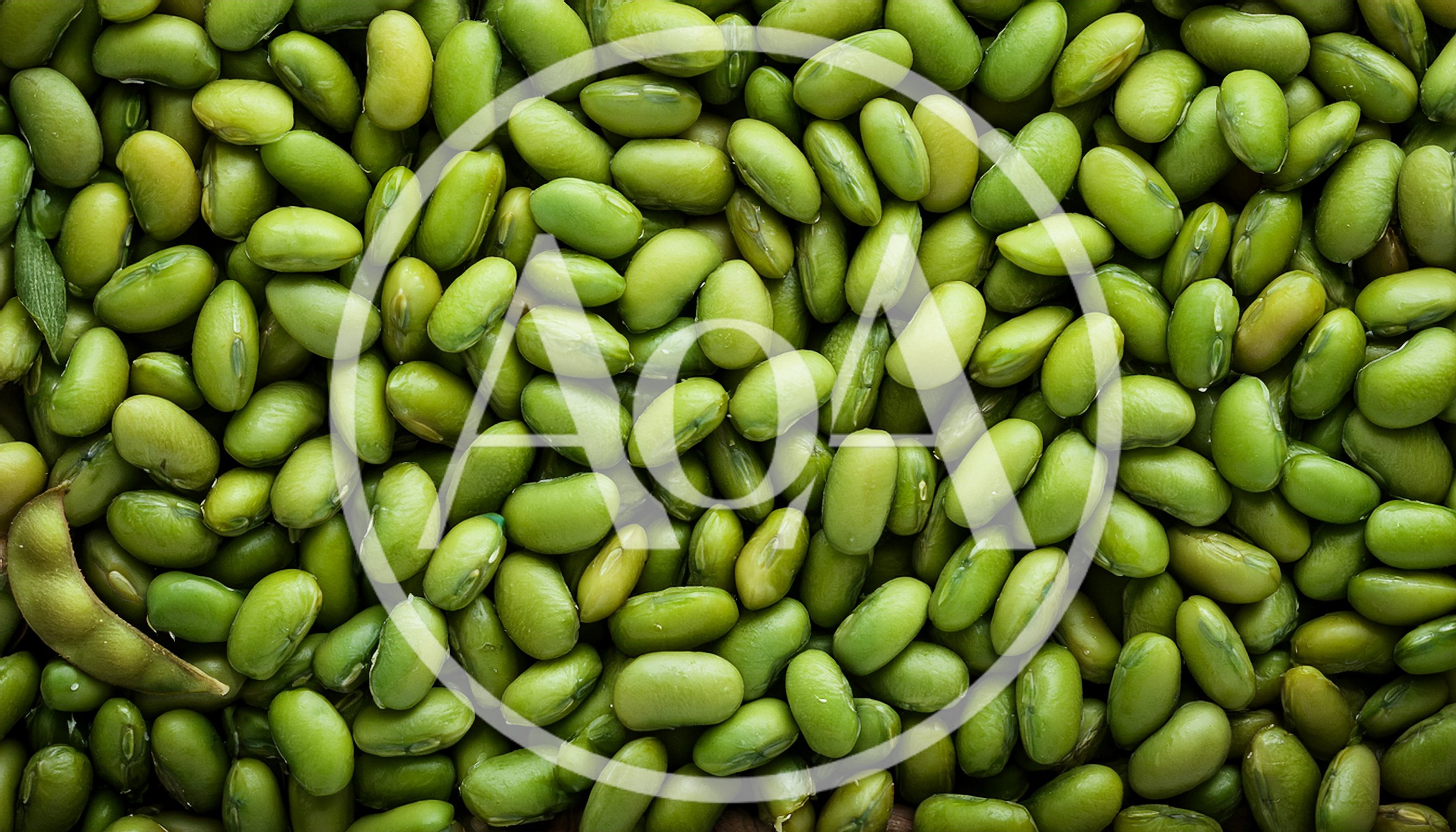Fresh Green Edamame Soybeans In A Pile