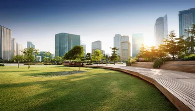 Modern City Park With Wooden Walkway And Skyscrapers