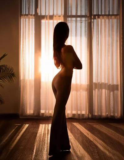 Silhouette Of A Woman Standing By A Sunlit Window