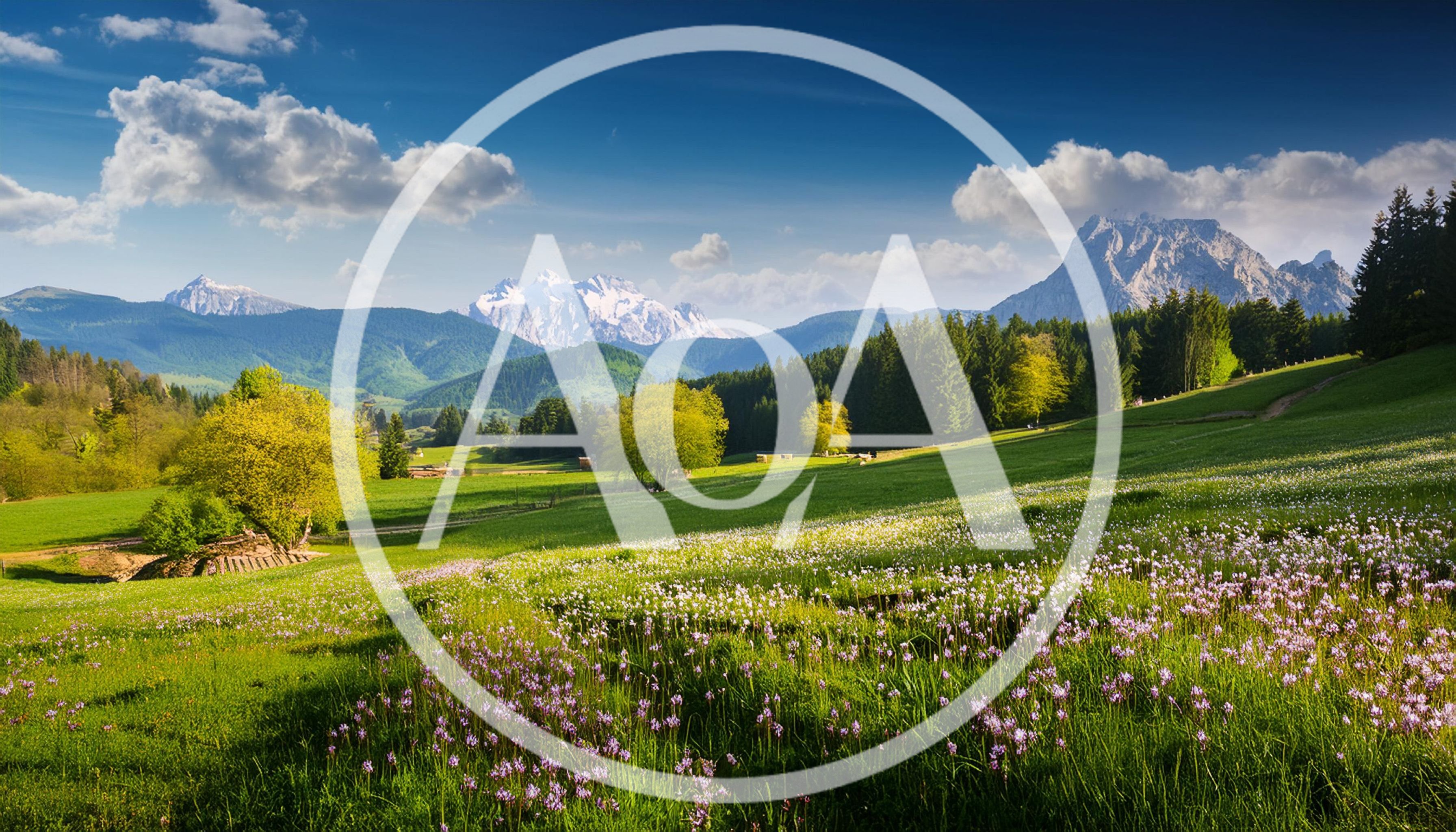 Alpine Meadow Landscape With Snow Capped Mountains