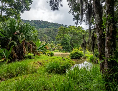 Lush Tropical Landscape With Pond And Forested Mountains