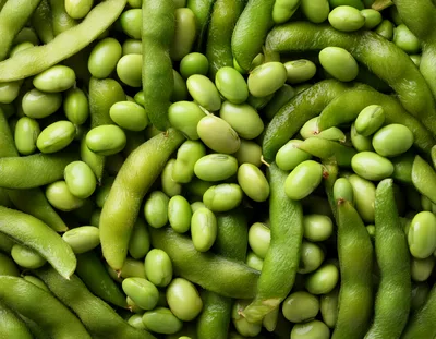 Fresh Green Edamame Soybeans In Pods