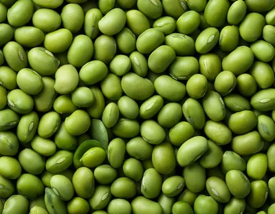 Top View Of Fresh Green Edamame Soybeans