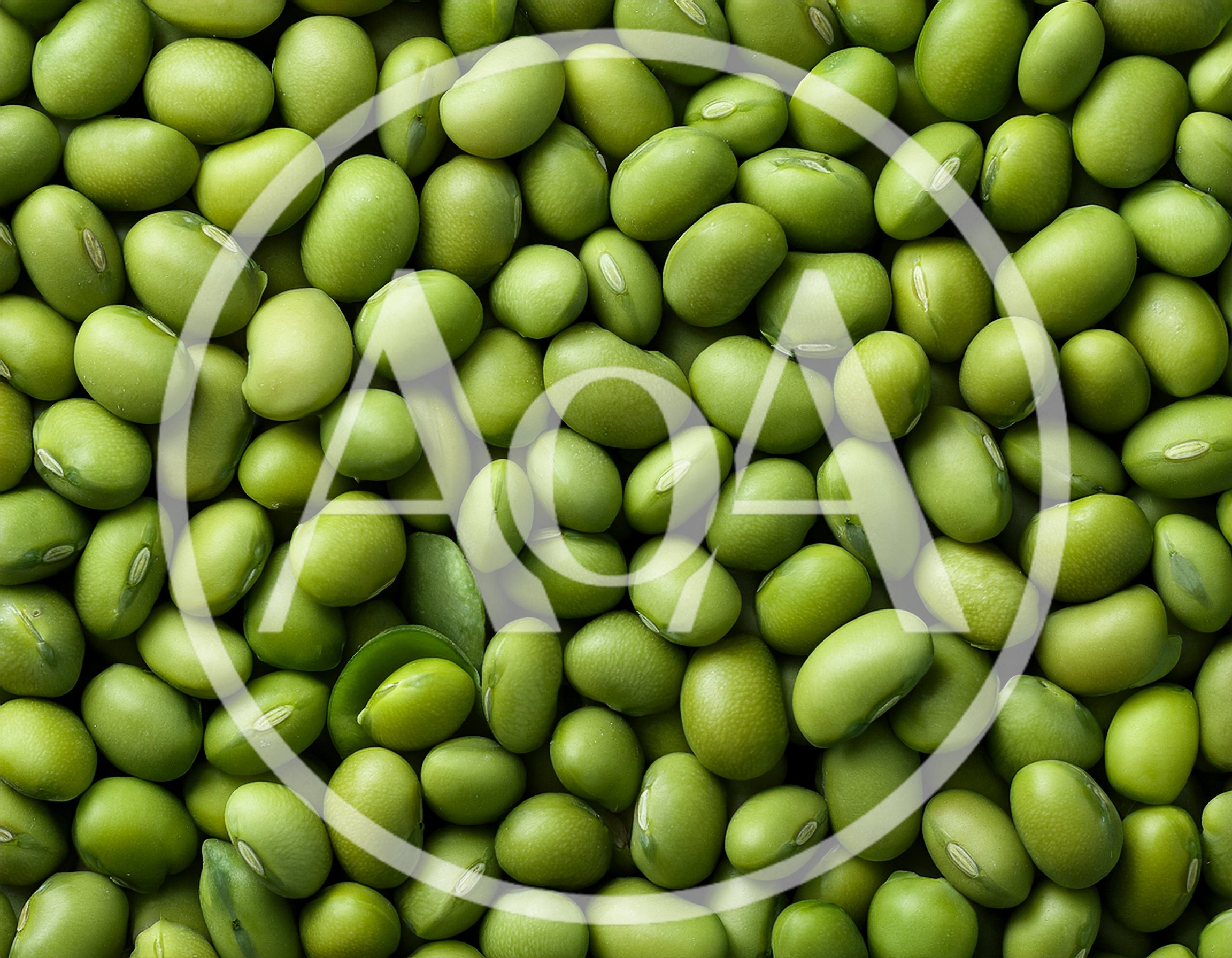 Top View Of Fresh Green Edamame Soybeans