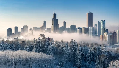 Chicago Skyline Emerging From Winter Fog Over Snowy Forest