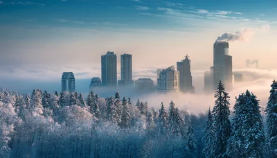 Winter City Skyline Above Dense Morning Fog
