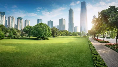 Modern City Skyline View From A Lush Green Park