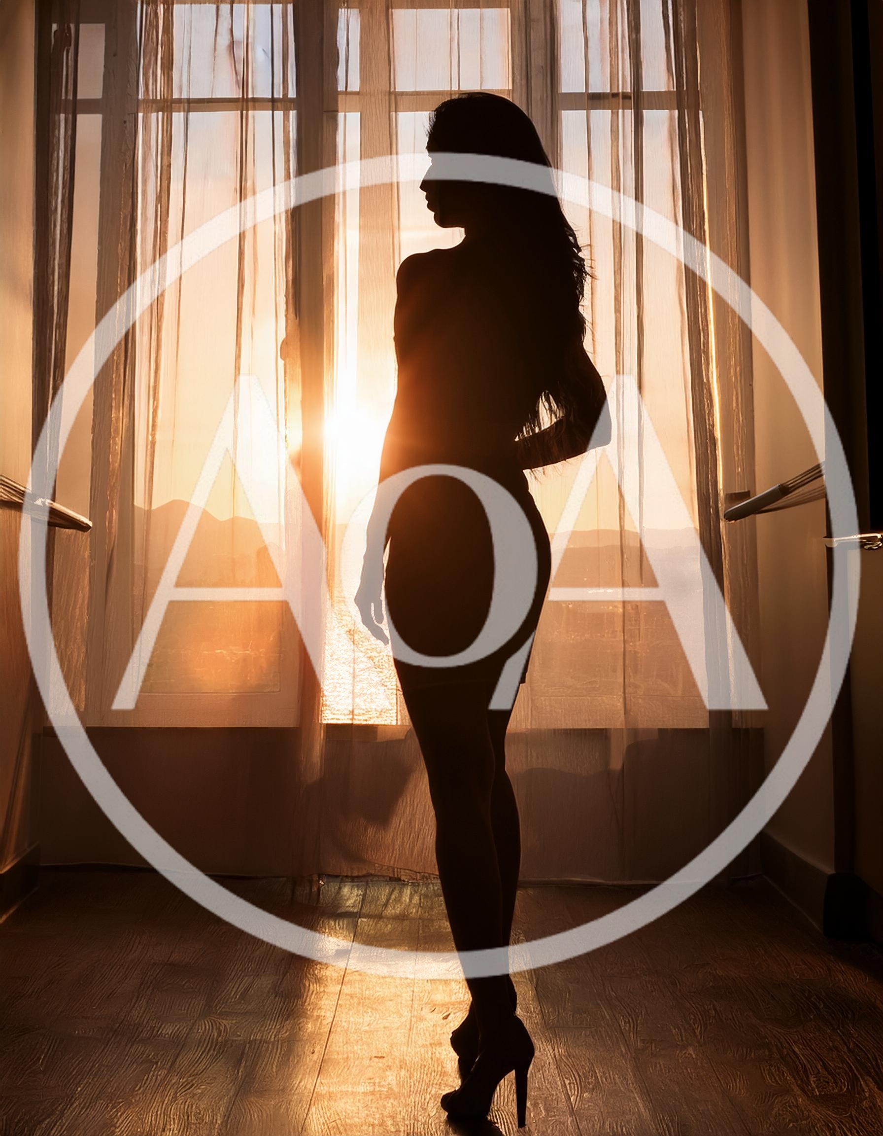 Silhouette Of A Woman Standing By A Sunny Window