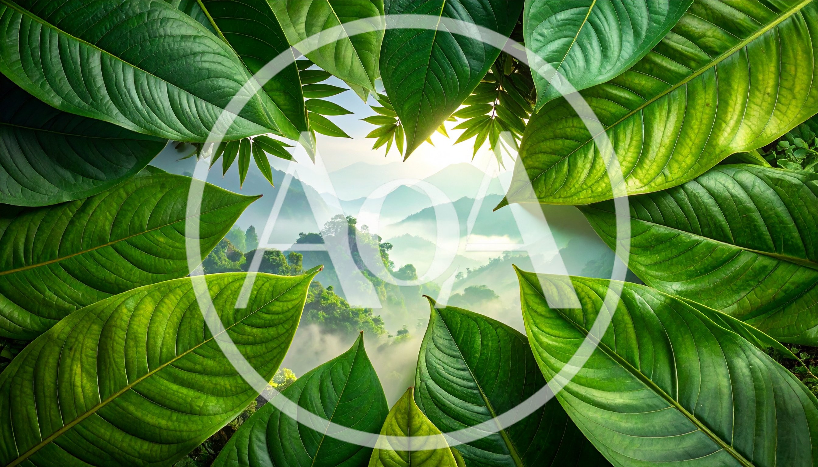 Framed View of Misty Mountain Landscape Through Green Leaves