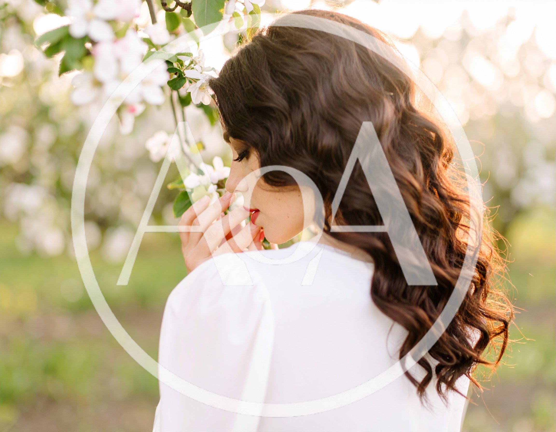 Woman Smelling Apple Blossoms in a Spring Orchard