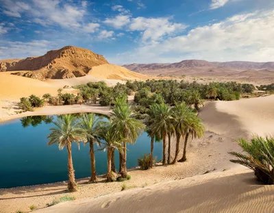 Oasis With Palm Trees And Blue Water In Sahara Desert
